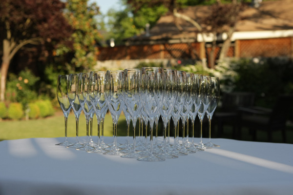Napa Valley Champagne Glasses